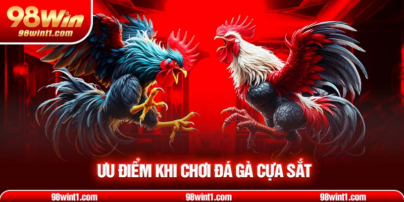 Ưu điểm khi chơi đá gà cựa sắt