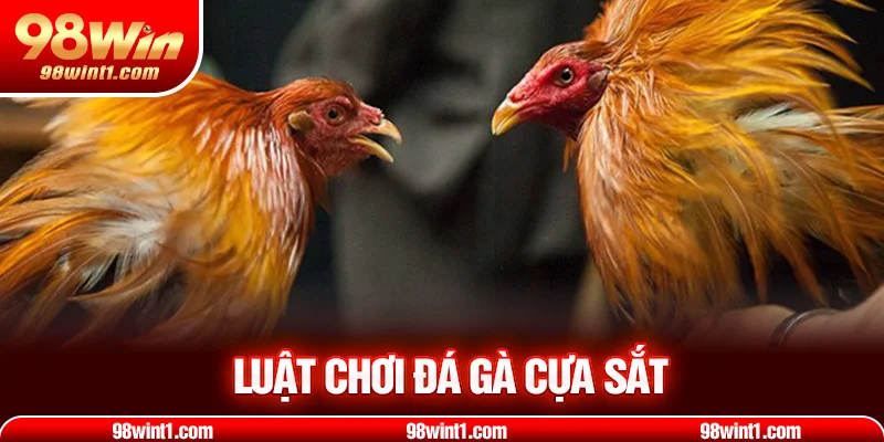 Luật chơi đá gà cựa sắt